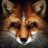 MyFoX